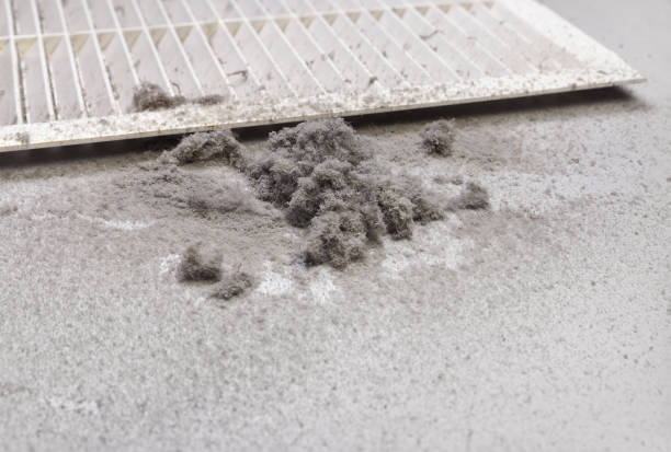 Best Air Duct Cleaning Near Me  in Hayden, ID